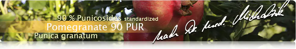 Pomegranate