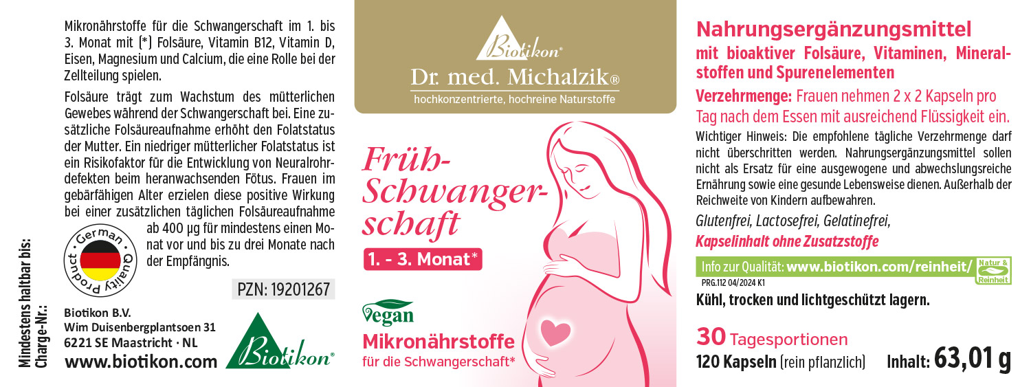 Early Pregnancy