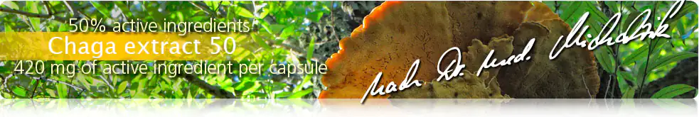 Chaga Extract 50