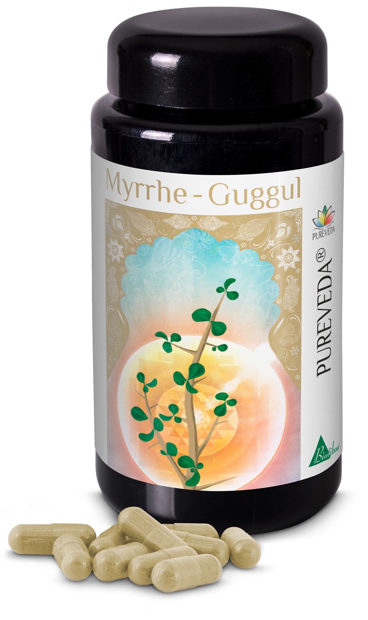 Myrrh Guggul – Capsules Bottle of Myrrh Guggul capsules, green capsules, 100 pieces, on a white background.