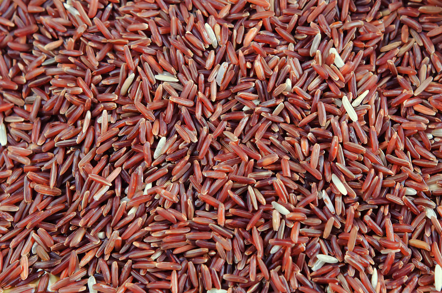Red rice Red rice