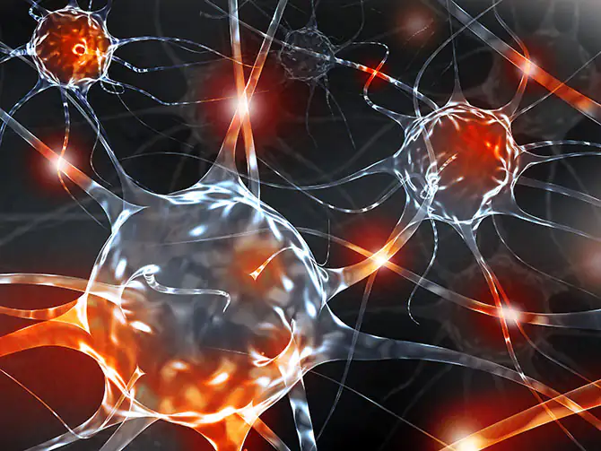 neural network neural network