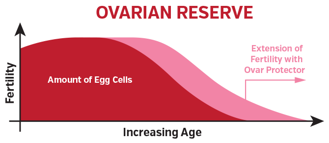 Ovarian Reserve - Fertility Charts Chart showing ovarian reserve, illustrating the number of eggs by age, in red and pink.