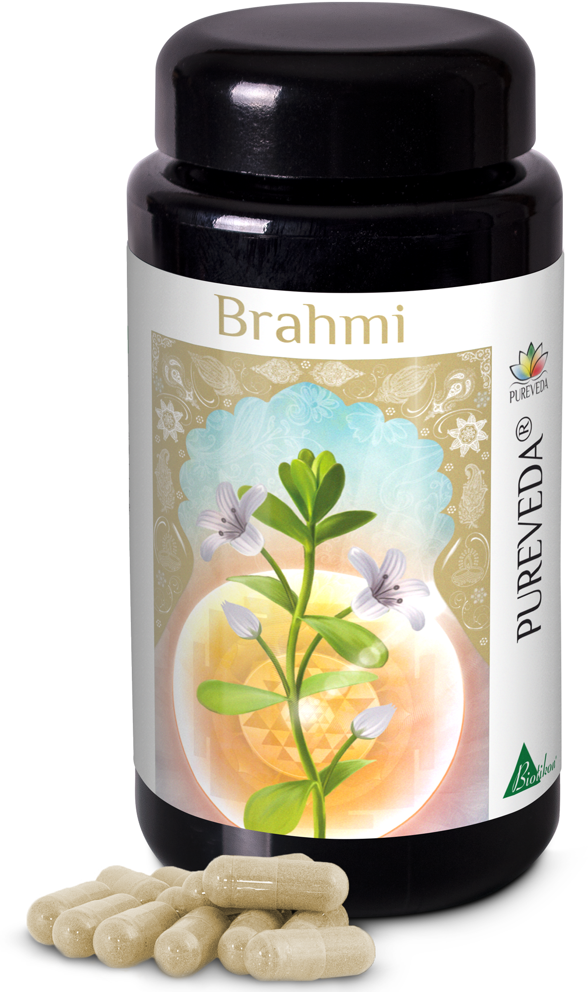Brahmi Capsules – 60 Count Brown-transparent bottle containing Brahmi capsules in natural color, surrounded by several capsules.