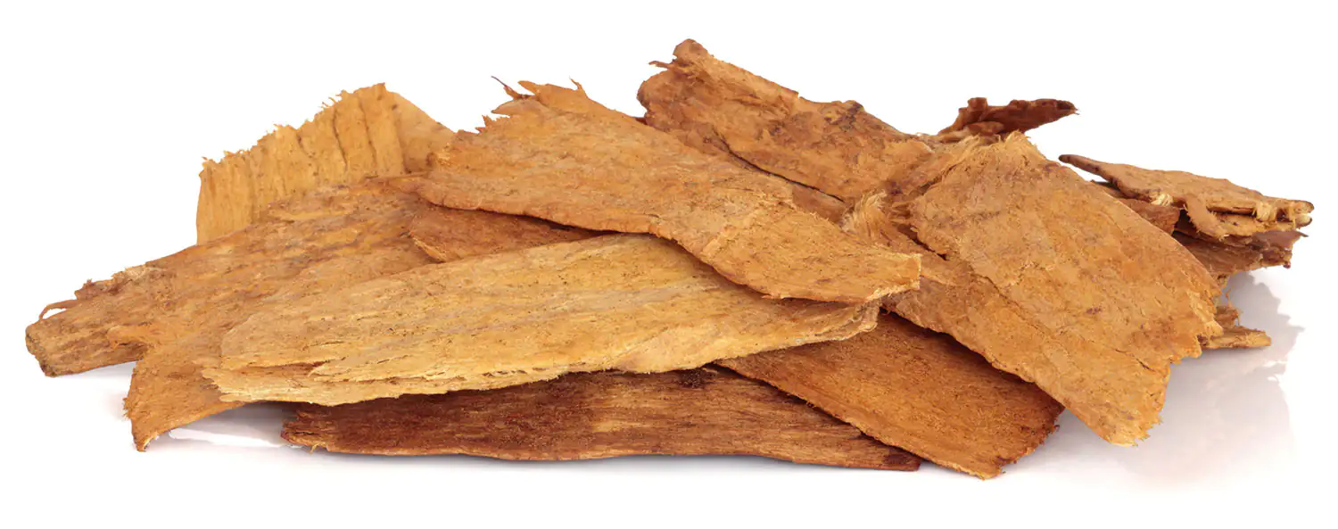 Astragaloside IV Astragalus membranaceus root Astragaloside IV Astragalus membranaceus root