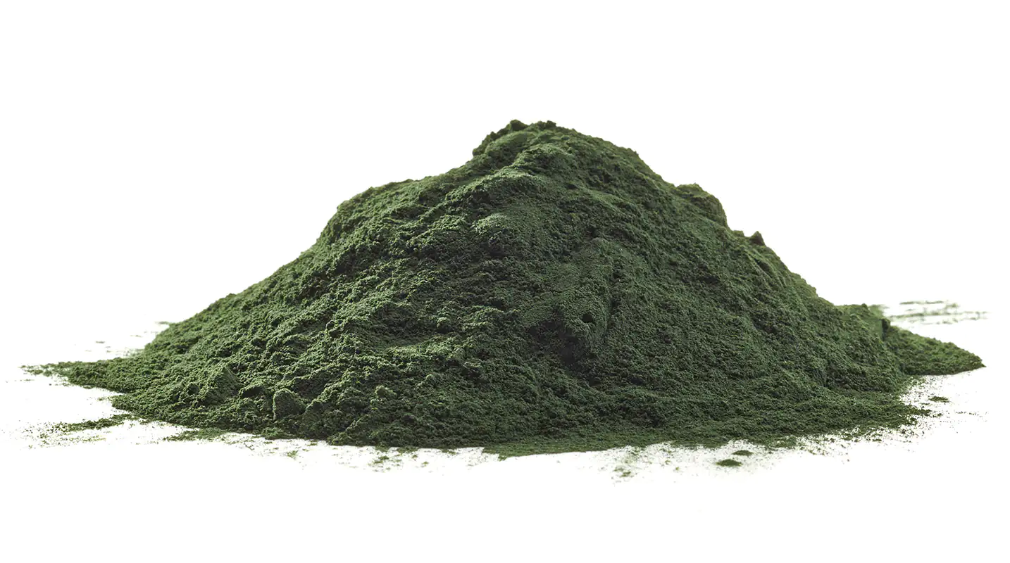 Chlorella vulgaris powder Chlorella vulgaris powder