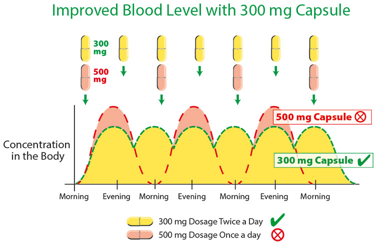 300 mg Capsules – Optimal Concentration Chart showing body concentration with 300 mg and 500 mg capsules throughout the day.