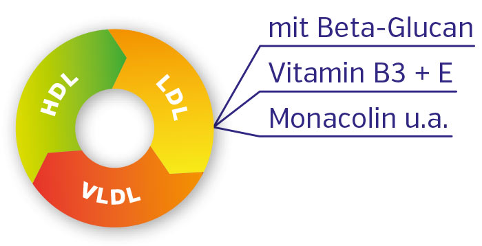 Beta-Glucan with Vitamin B3 and E – Supplement Graphic shows nutrients like Beta-Glucan, Vitamin B3, and E in a colorful circle diagram.