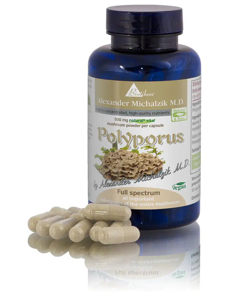 Polyporus 500 mg – Capsules Blue glass container with Polyporus mushroom powder capsules, 120 pieces, vegan, front view.