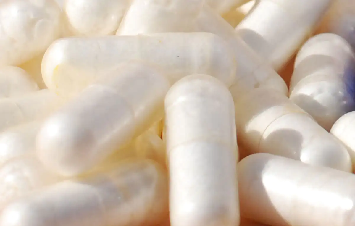 L-carnosine capsules L-carnosine capsules