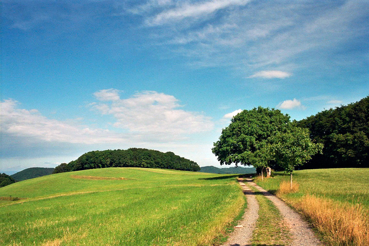 The Odenwald