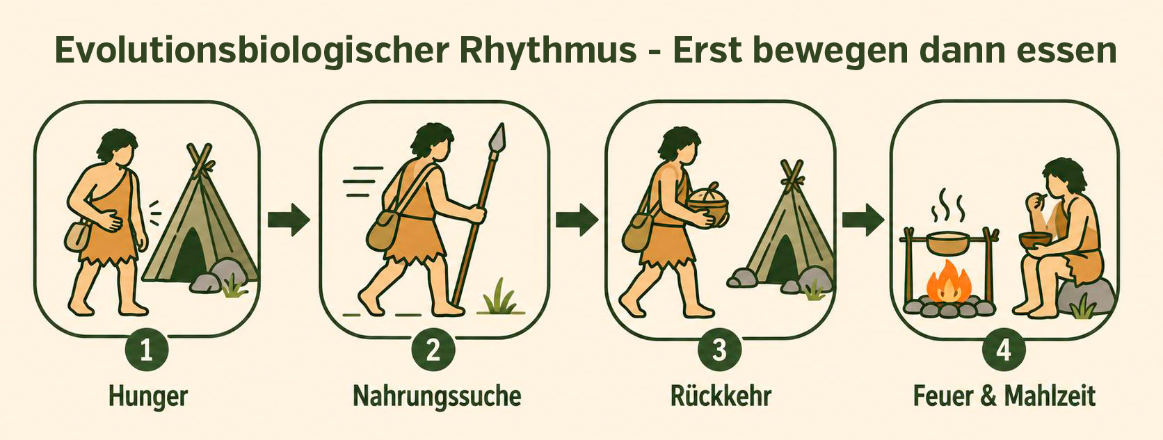 Body recomposition - evolutionary biological rhythm