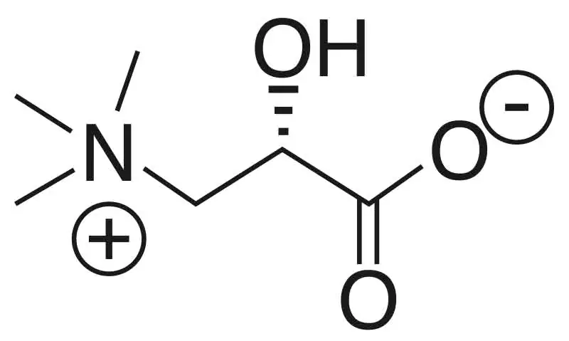 L-carnitine structural formula L-carnitine structural formula