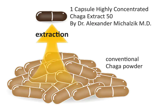 Chaga Extract 50 – Capsules A capsule of highly concentrated Chaga extract, surrounded by other capsules, brown color, packaging visible.