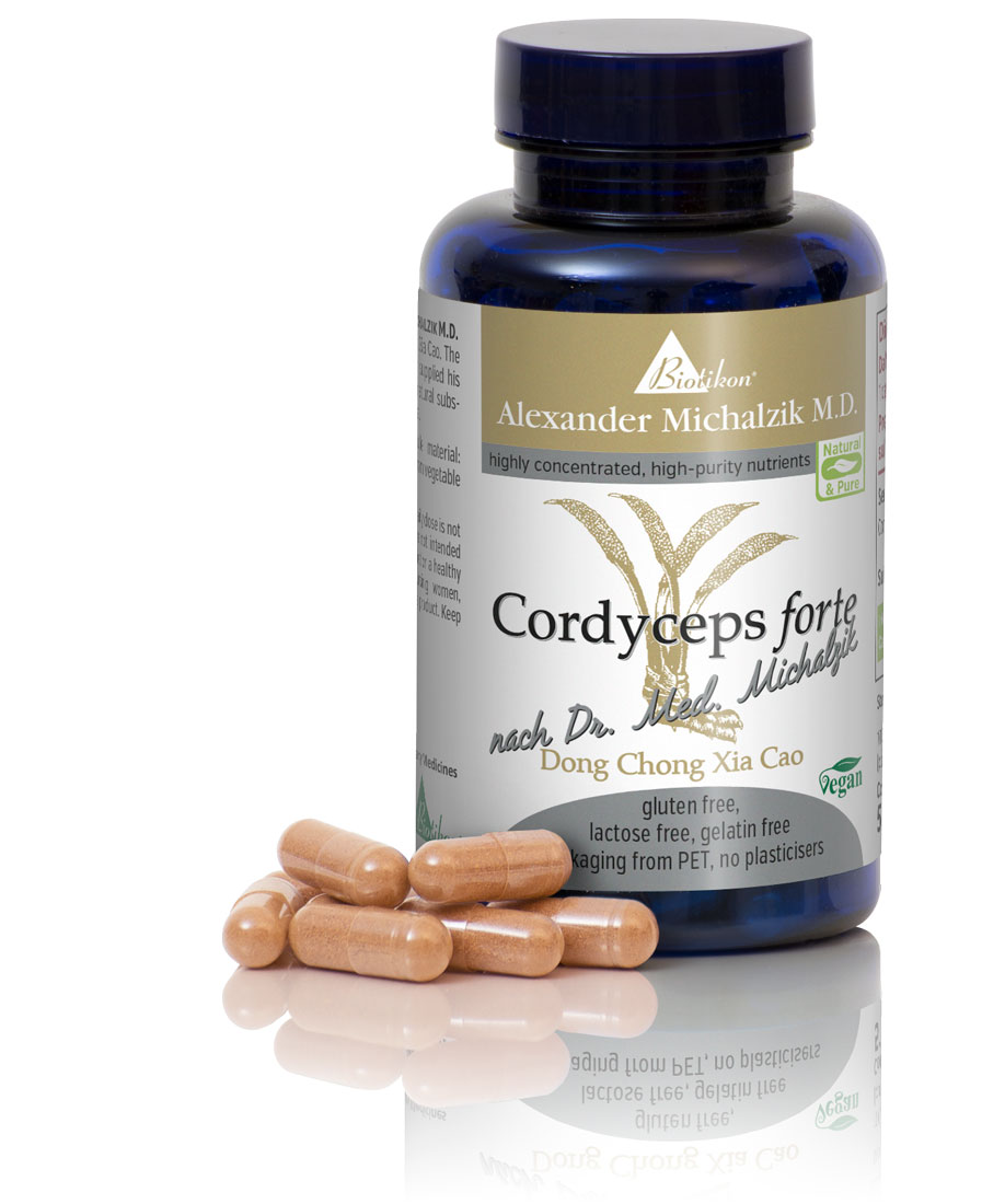 Cordyceps Forte – Capsules Vegetarian capsules in brown color, 60 pieces in a blue bottle, photographed from an angle.