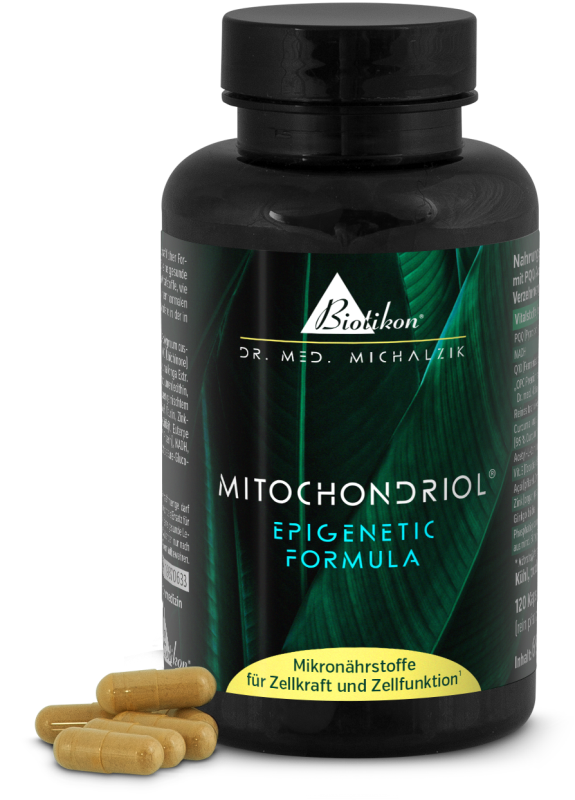 S-acetyl glutathione stomach acid resistant, 255510 mg per day, 60 vegan capsules, without additives S-acetyl glutathione stomach acid resistant, 255510 mg per day, 60 vegan capsules, without additives