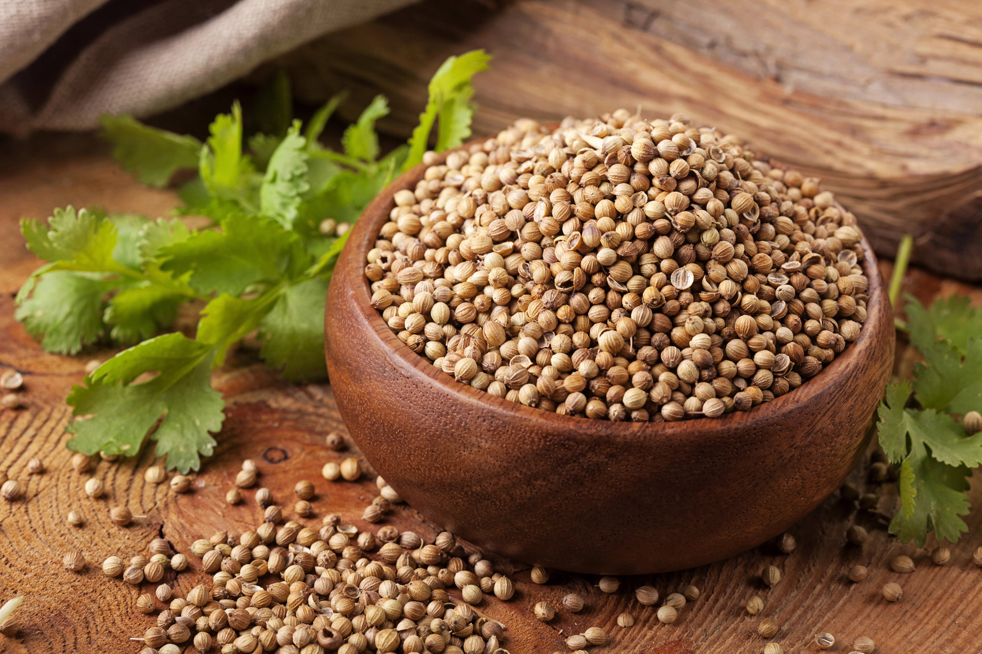 Coriander Seeds - 100 g Natural coriander seeds in a wooden bowl, 100 g, with fresh coriander leaves in the background.