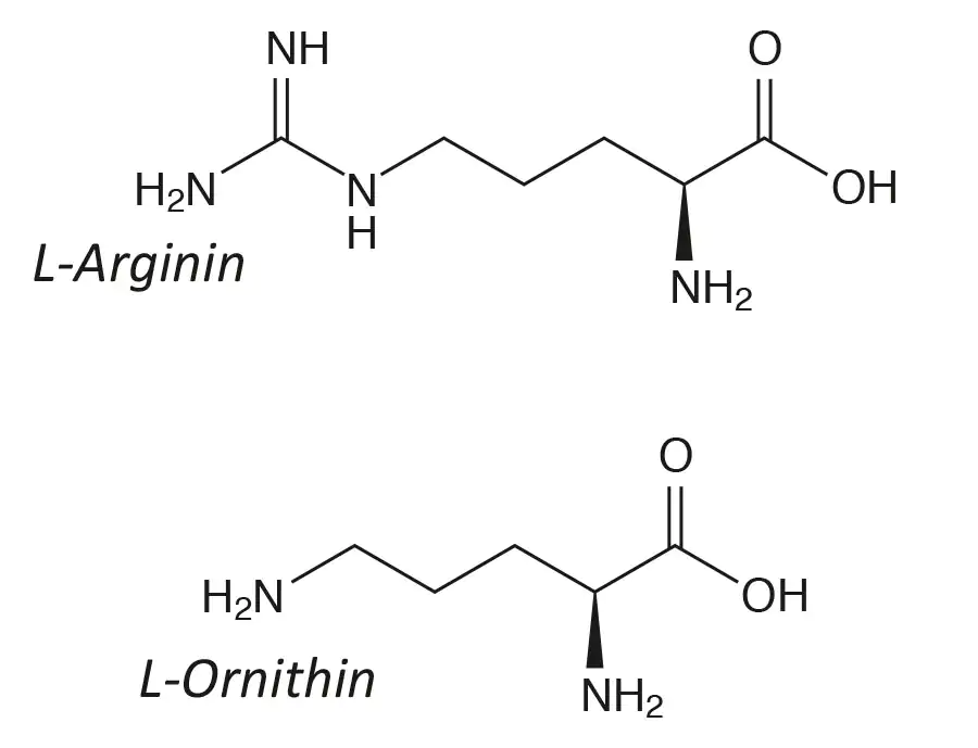 Arginine + Ornithine structural formulas Arginine + Ornithine structural formulas