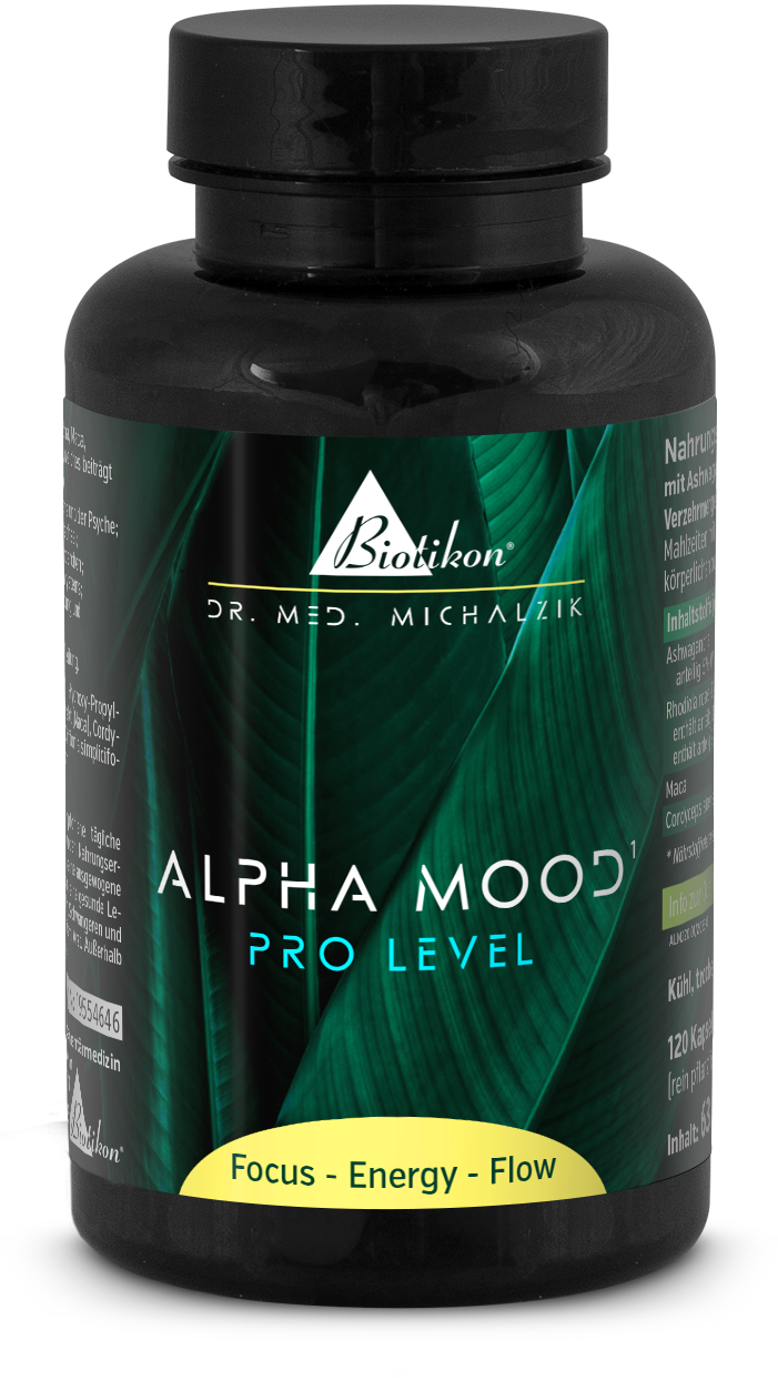 Alpha Mood 120 Capsules – Dietary Supplement Dark capsule packaging with 120 capsules, featuring green leaf motifs, captured from the front.