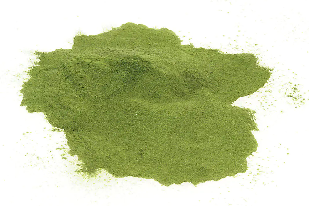 Moringa oleifera raw food quality Moringa oleifera raw food quality