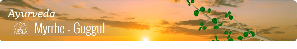 PUREVEDA Myrrhe - Guggul