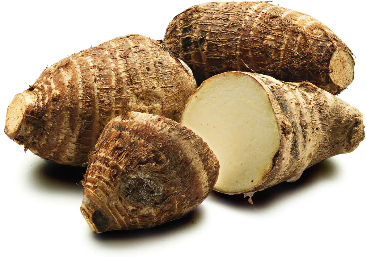 yam yam