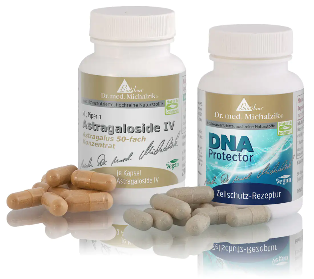 Astragaloside IV + DNA Protector Bundle Bottles Two bottles with capsules: Astragaloside IV and DNA Protector, beige and gray capsules, vegan.