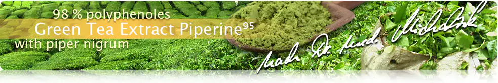 Green Tea Extract