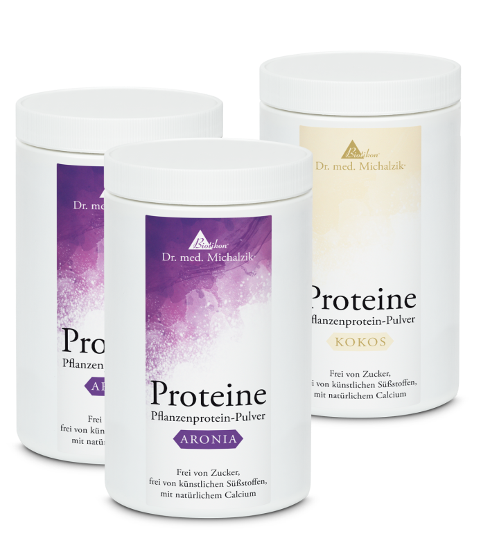 Plant Protein Powder – 3 Flavors Three cans of plant-based proteins in purple and white packaging, featuring Aronia and Coconut flavors.